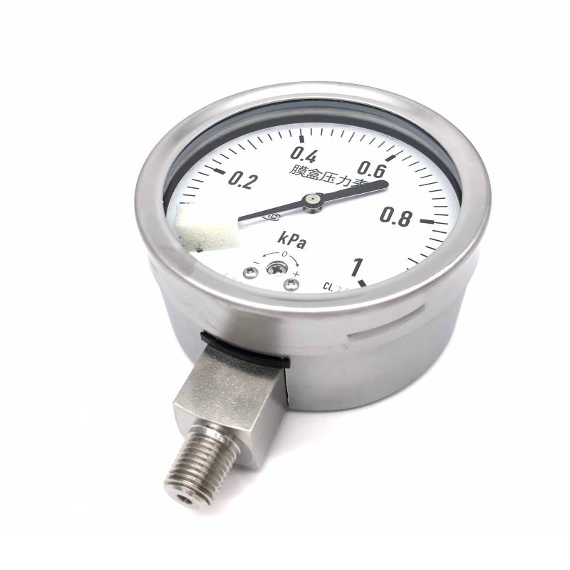 膜盒壓力表01.jpeg